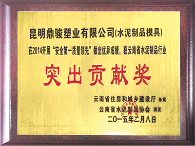 鼎駿突出貢獻(xiàn)獎