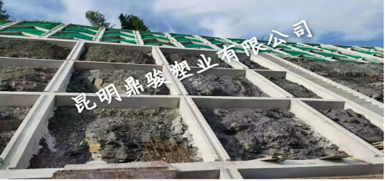 框格梁護坡