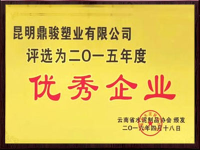鼎駿2015年杰出企業(yè)榮譽