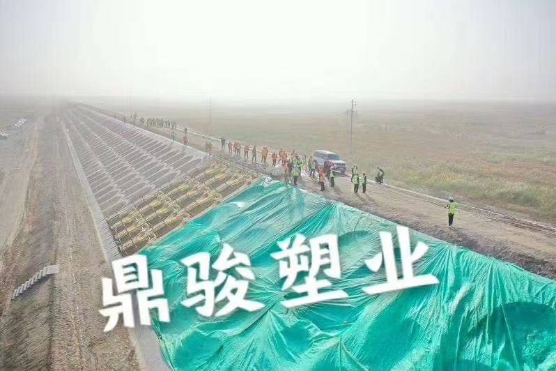 未標(biāo)題-6